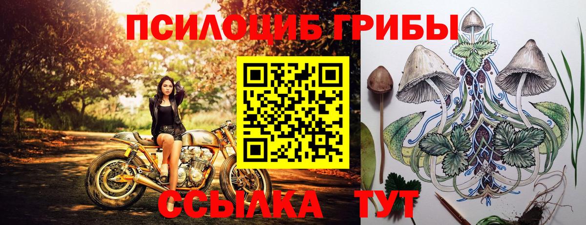  Cocaine Брянск