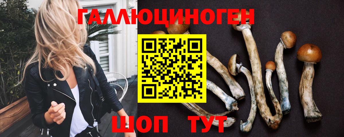 Брянск  Галлюциногенные грибы мухоморы  магазин продажи   Вход с VPN 