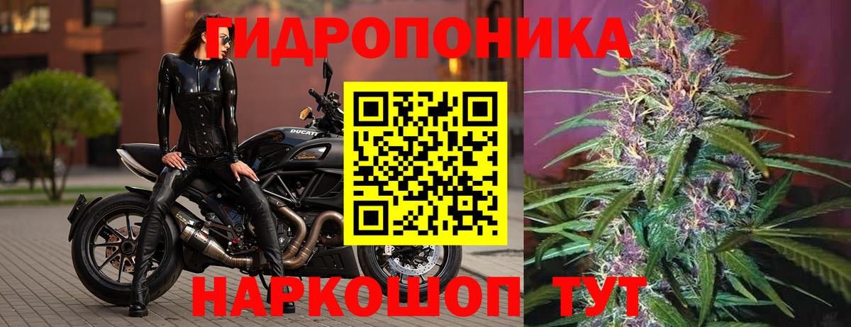 Каннабис Ganja Брянск